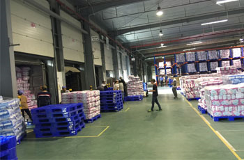 Gemadept Logistics triển khai dịch vụ In-house logistics cho khách hàng Diana tại Bắc Ninh